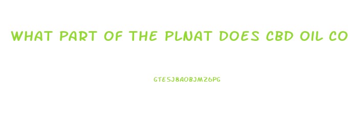 What Part Of The Plnat Does Cbd Oil Come From