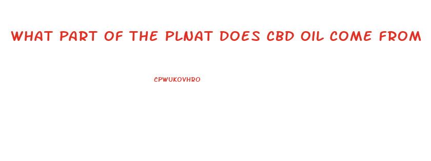 What Part Of The Plnat Does Cbd Oil Come From