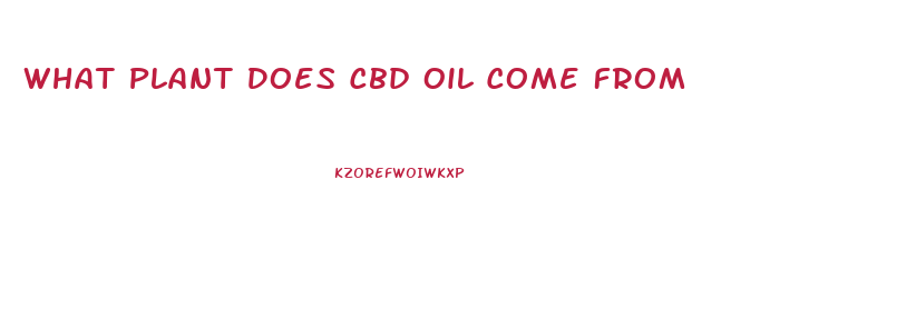 What Plant Does Cbd Oil Come From
