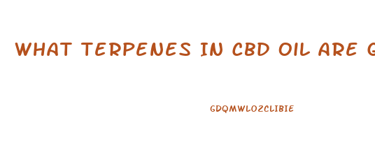 What Terpenes In Cbd Oil Are Good For Pain