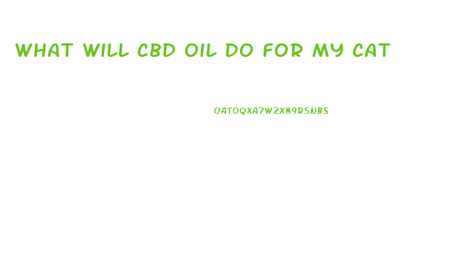 What Will Cbd Oil Do For My Cat