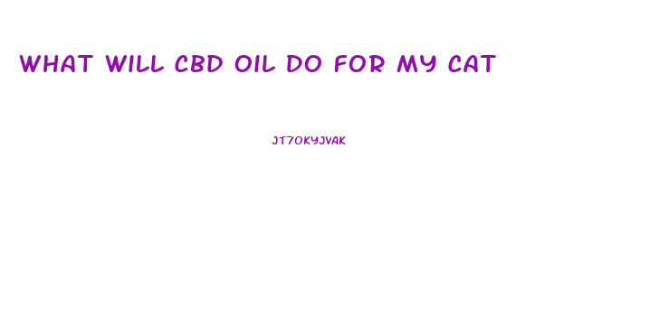 What Will Cbd Oil Do For My Cat