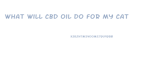 What Will Cbd Oil Do For My Cat