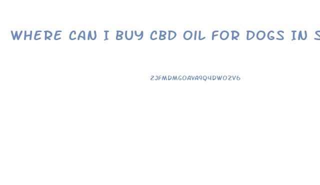 Where Can I Buy Cbd Oil For Dogs In Store