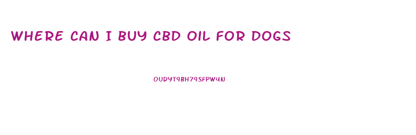 Where Can I Buy Cbd Oil For Dogs