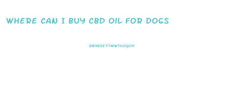 Where Can I Buy Cbd Oil For Dogs