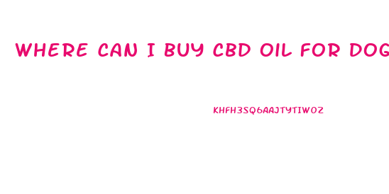 Where Can I Buy Cbd Oil For Dogs