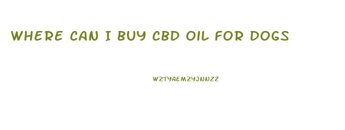 Where Can I Buy Cbd Oil For Dogs