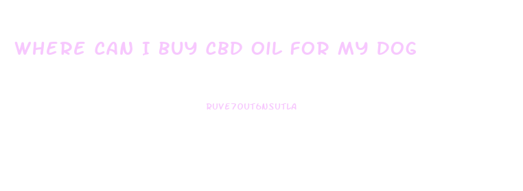 Where Can I Buy Cbd Oil For My Dog
