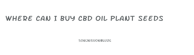 Where Can I Buy Cbd Oil Plant Seeds