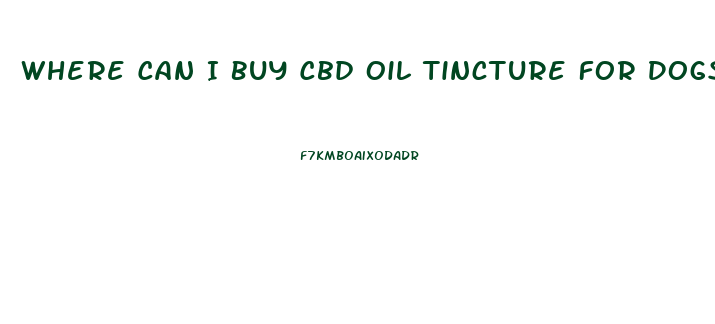 Where Can I Buy Cbd Oil Tincture For Dogs