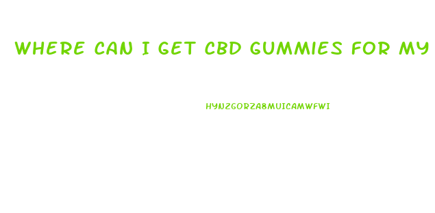 Where Can I Get Cbd Gummies For My Dog