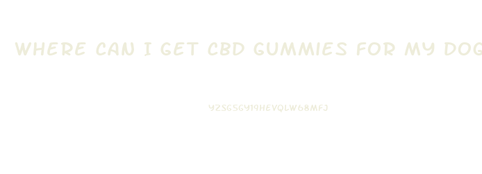 Where Can I Get Cbd Gummies For My Dog