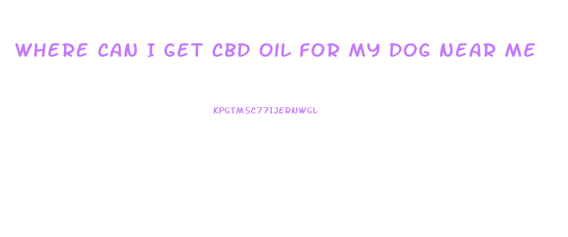 Where Can I Get Cbd Oil For My Dog Near Me