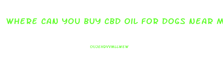 Where Can You Buy Cbd Oil For Dogs Near Me