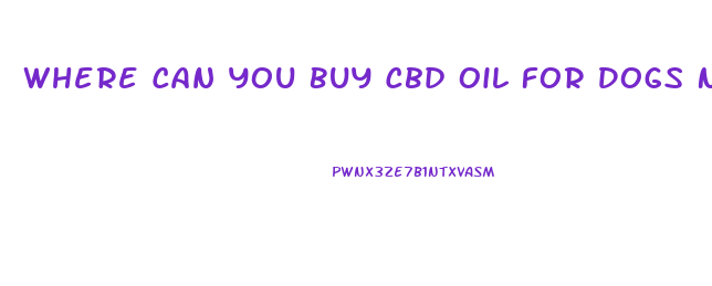 Where Can You Buy Cbd Oil For Dogs Near Me