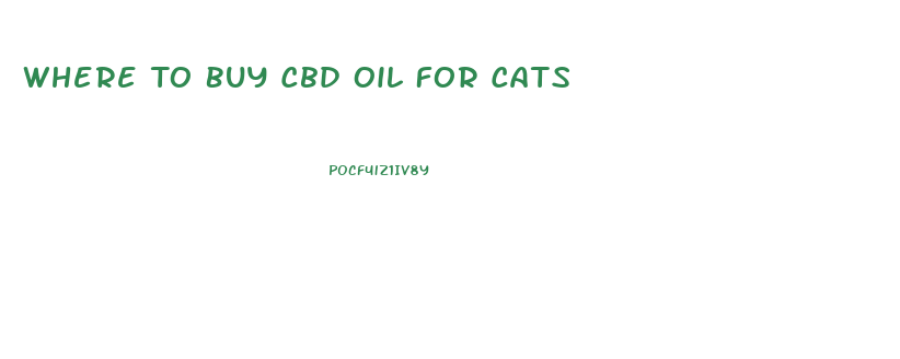 Where To Buy Cbd Oil For Cats