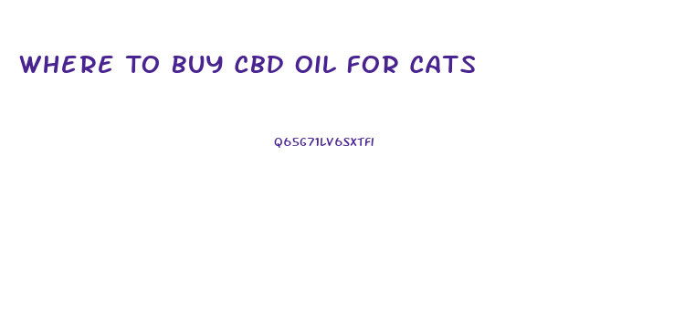Where To Buy Cbd Oil For Cats