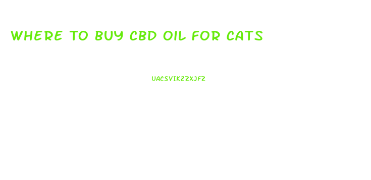 Where To Buy Cbd Oil For Cats