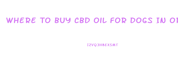 Where To Buy Cbd Oil For Dogs In Orlando