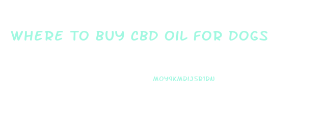 Where To Buy Cbd Oil For Dogs