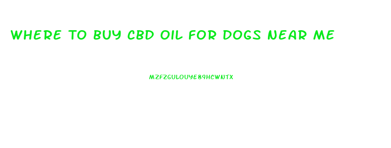 Where To Buy Cbd Oil For Dogs Near Me