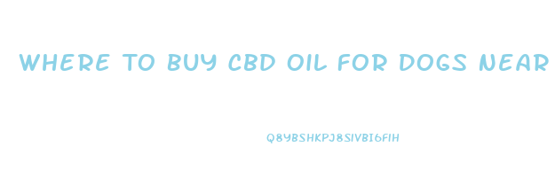 Where To Buy Cbd Oil For Dogs Near Me