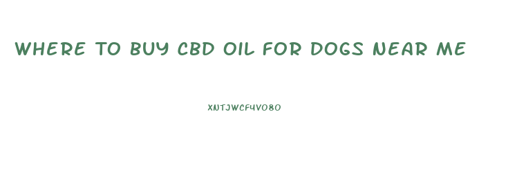 Where To Buy Cbd Oil For Dogs Near Me