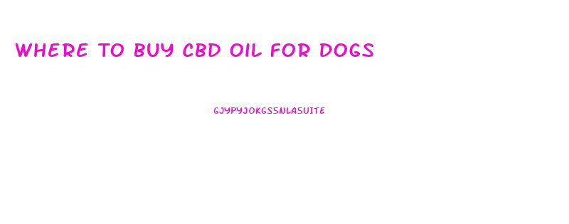 Where To Buy Cbd Oil For Dogs