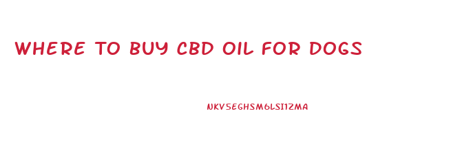 Where To Buy Cbd Oil For Dogs