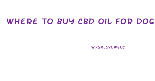 Where To Buy Cbd Oil For Dogs