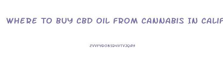 Where To Buy Cbd Oil From Cannabis In California