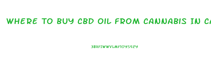 Where To Buy Cbd Oil From Cannabis In California