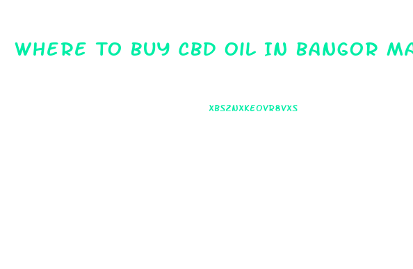 Where To Buy Cbd Oil In Bangor Maine