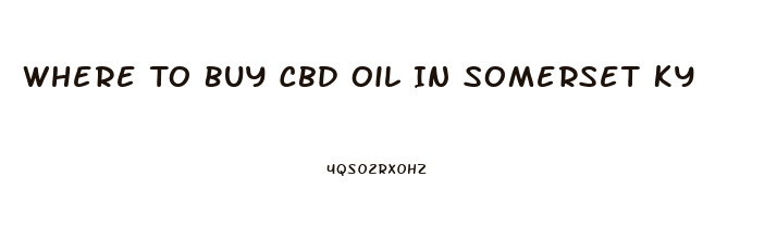 Where To Buy Cbd Oil In Somerset Ky