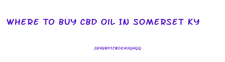 Where To Buy Cbd Oil In Somerset Ky