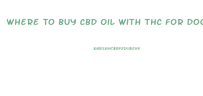 Where To Buy Cbd Oil With Thc For Dogs