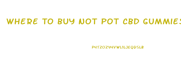 Where To Buy Not Pot Cbd Gummies