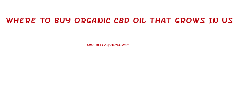 Where To Buy Organic Cbd Oil That Grows In Usa Maine