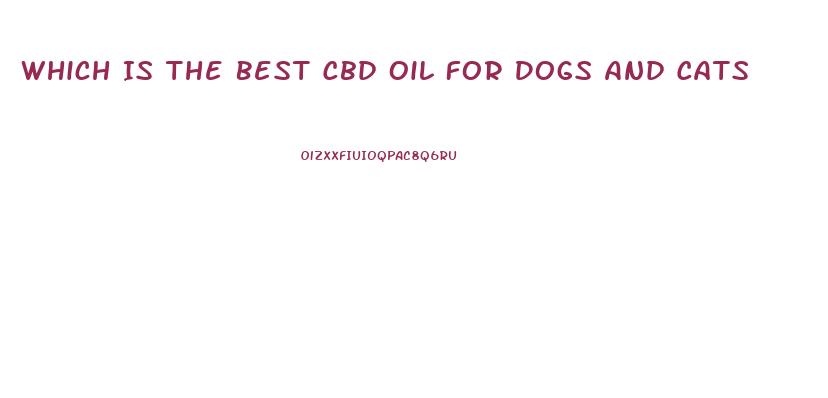 Which Is The Best Cbd Oil For Dogs And Cats