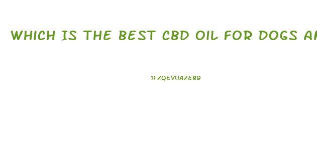 Which Is The Best Cbd Oil For Dogs And Cats