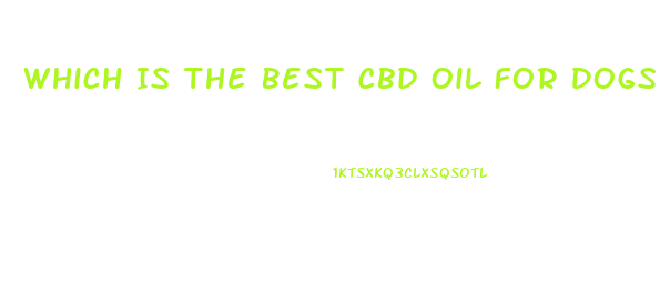 Which Is The Best Cbd Oil For Dogs And Cats