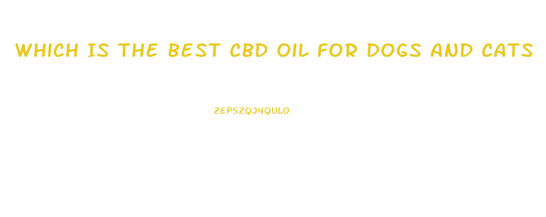 Which Is The Best Cbd Oil For Dogs And Cats