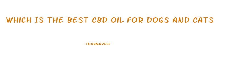 Which Is The Best Cbd Oil For Dogs And Cats