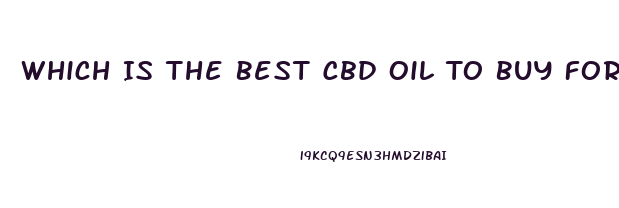 Which Is The Best Cbd Oil To Buy For The Money