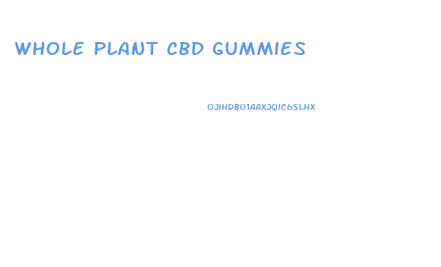 Whole Plant Cbd Gummies