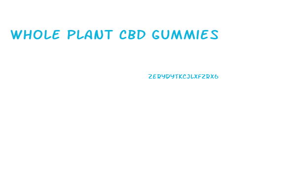 Whole Plant Cbd Gummies