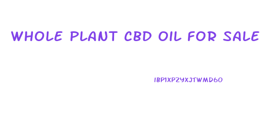 Whole Plant Cbd Oil For Sale