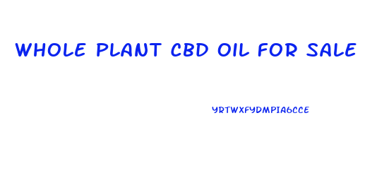 Whole Plant Cbd Oil For Sale