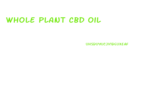 Whole Plant Cbd Oil